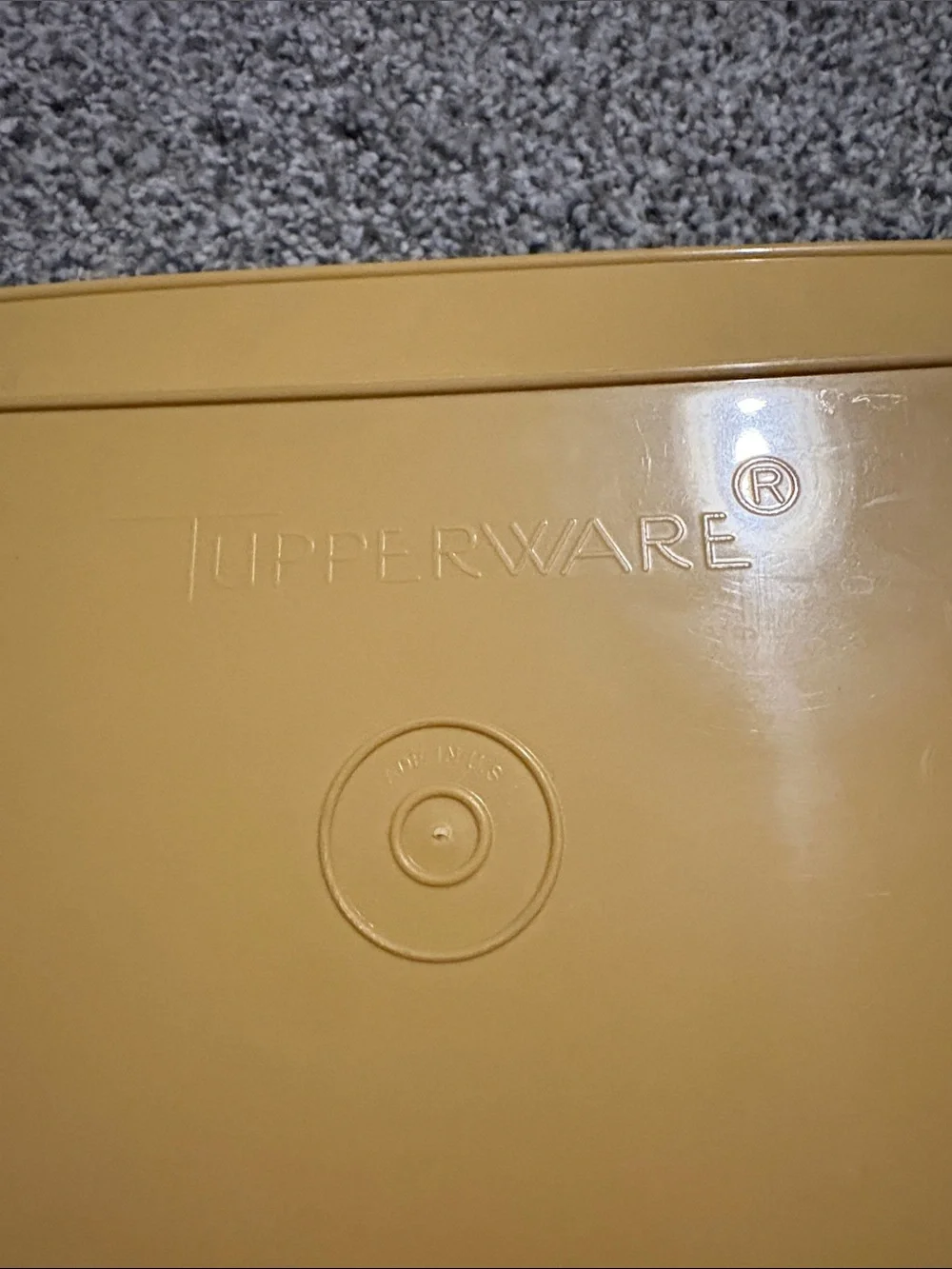 Vintage Tupperware Deviled Egg Storage Travel Container